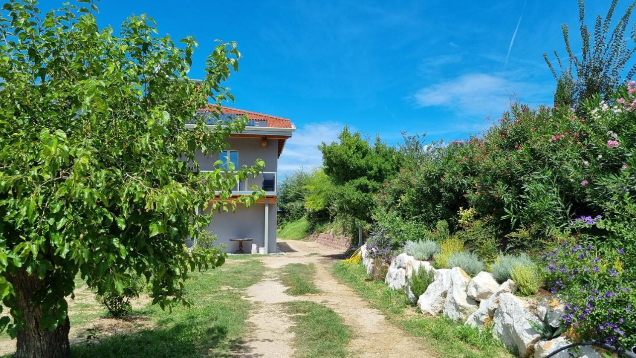 Bed and Breakfast Antica Dimora Dei Gelsi Manerba del Garda Exteriér fotografie